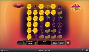 Doxxbet casino – Blazing beels novinka